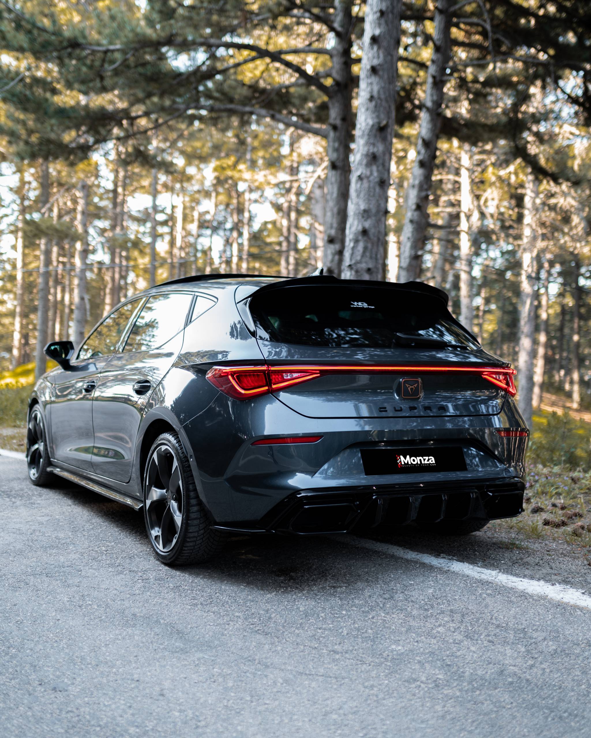 CUPRA Leon Mk1 (2020-2024) - Arka Difüzör