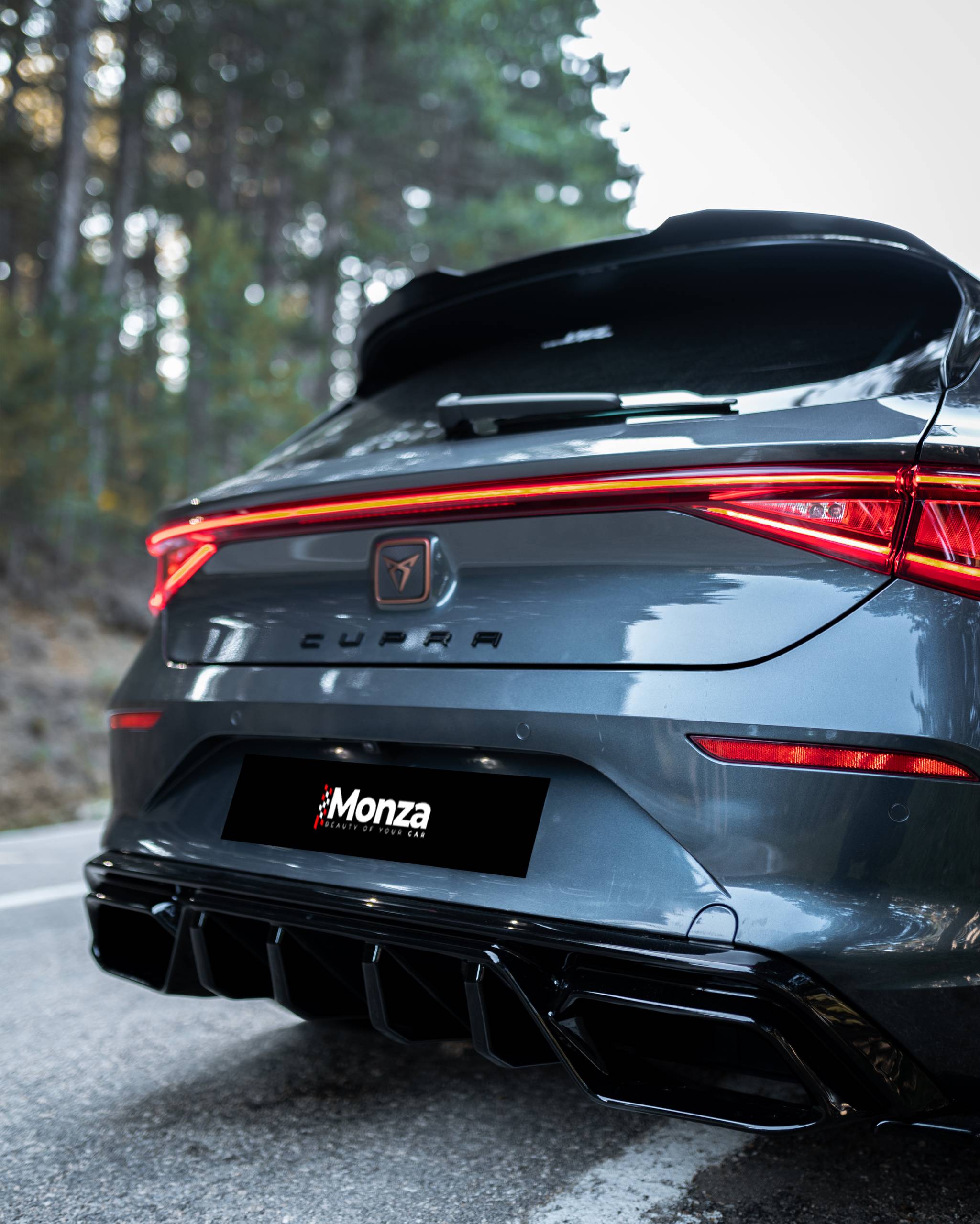 CUPRA Leon Mk1 (2020-2024) - Arka Difüzör - Görsel 2